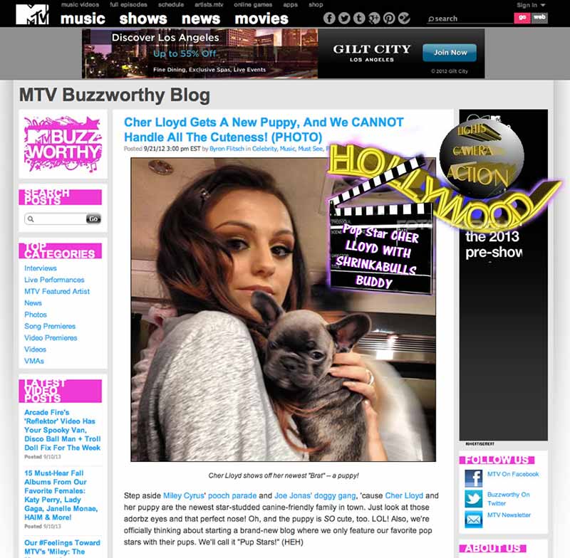 Thanks to MTV Buzzworthy for featuring our Shrinkabull's Buddy Lloyd