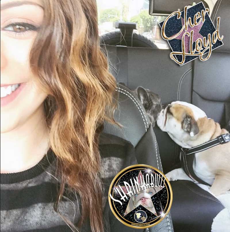 CHER LLOYD with her Shrinkabull's French and English Bulldogs Sharon and Buddy