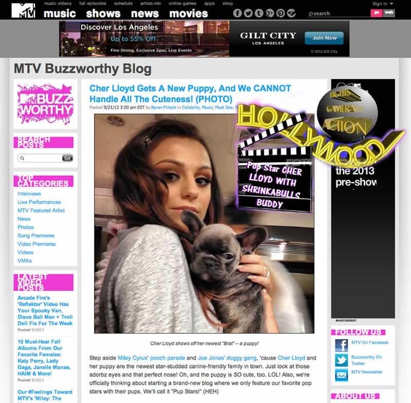 Cher Lloyd with Shrinkabulls French bulldog puppy in the news