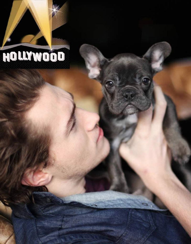 Braison Cyrus (Miley Cyrus' brother) with Shrinkabulls Blue Ivy at photo shoot french bulldog