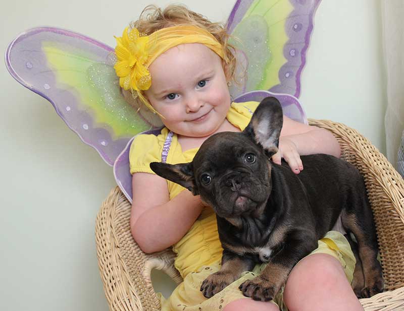 Girl in fairy costume holding French bulldog puppy