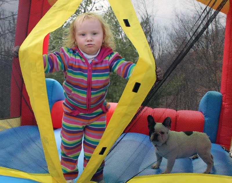 French bulldog puppy with girl in jump castle