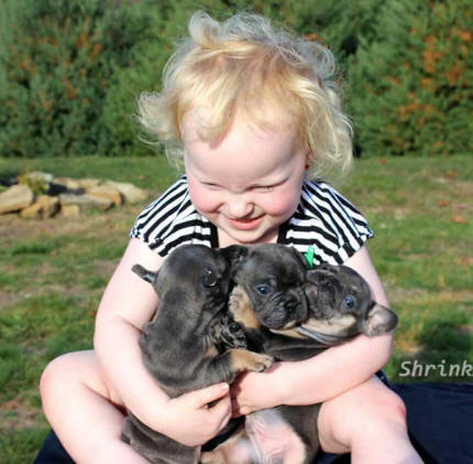 Girl with french bulldog puppies