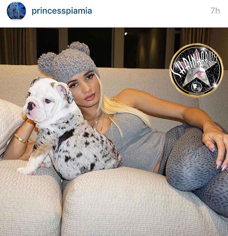 Singer Pia Mia cuddling with her beautiful Shrinkabull's English Bulldog puppy