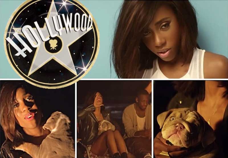 Shrinkabull's Jax in Sevyn Streeter's music video "It Won't Stop"