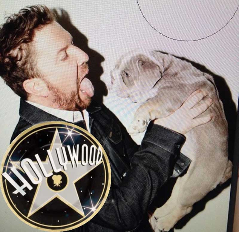 Actor Nick Swardson with Shrinkabull's Lilac English Bulldog Puppy