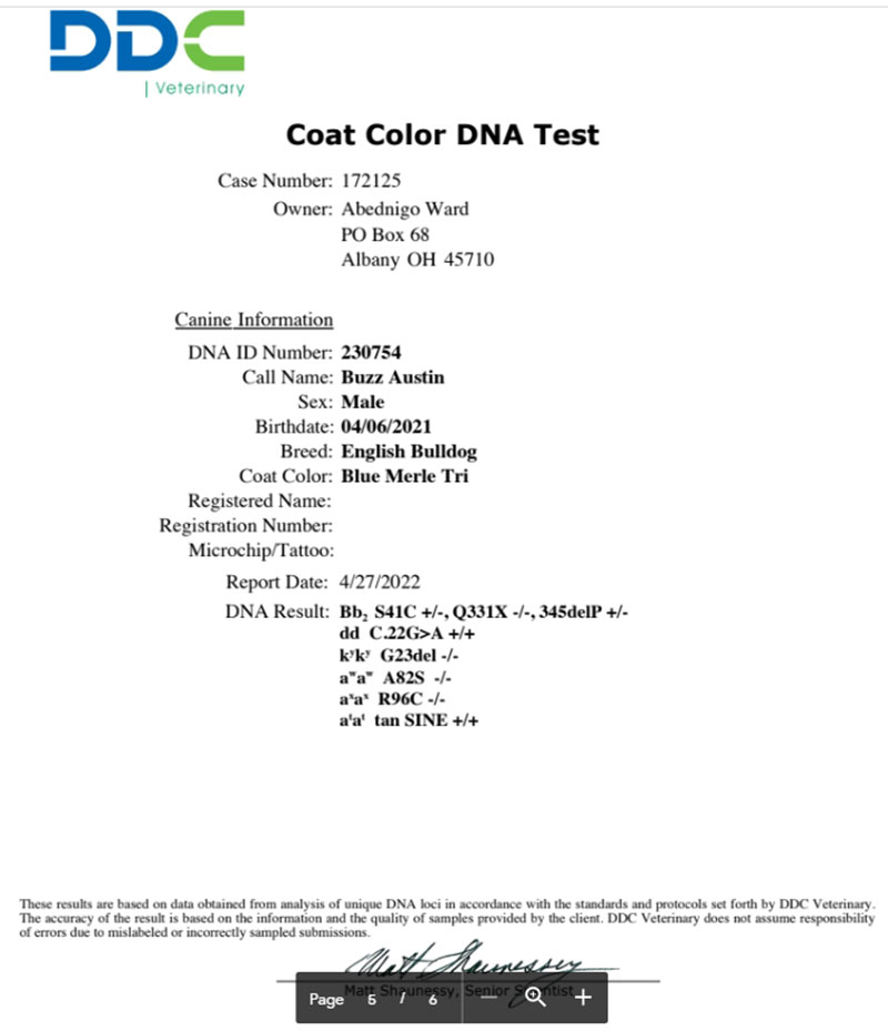 Shrinkabull's Buzz Coat Color DNA Test