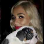 Shrinkabull's bulldog puppy with singer Pia Mia