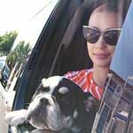 Iggy Azalea riding in the car with her Shrinkabull English bulldog