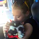 Iggy Azalea in the car with her cute Shrinkabull bulldog puppy