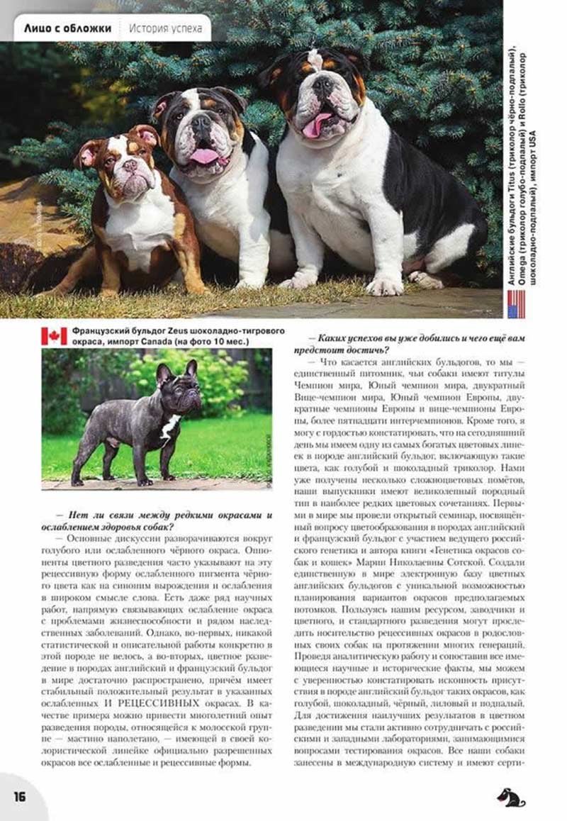 Russian Dog Magazine