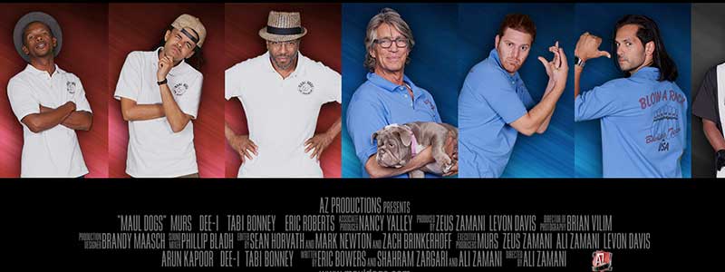 Maul Dogs hollywood movie with shrinkabulls english bulldog