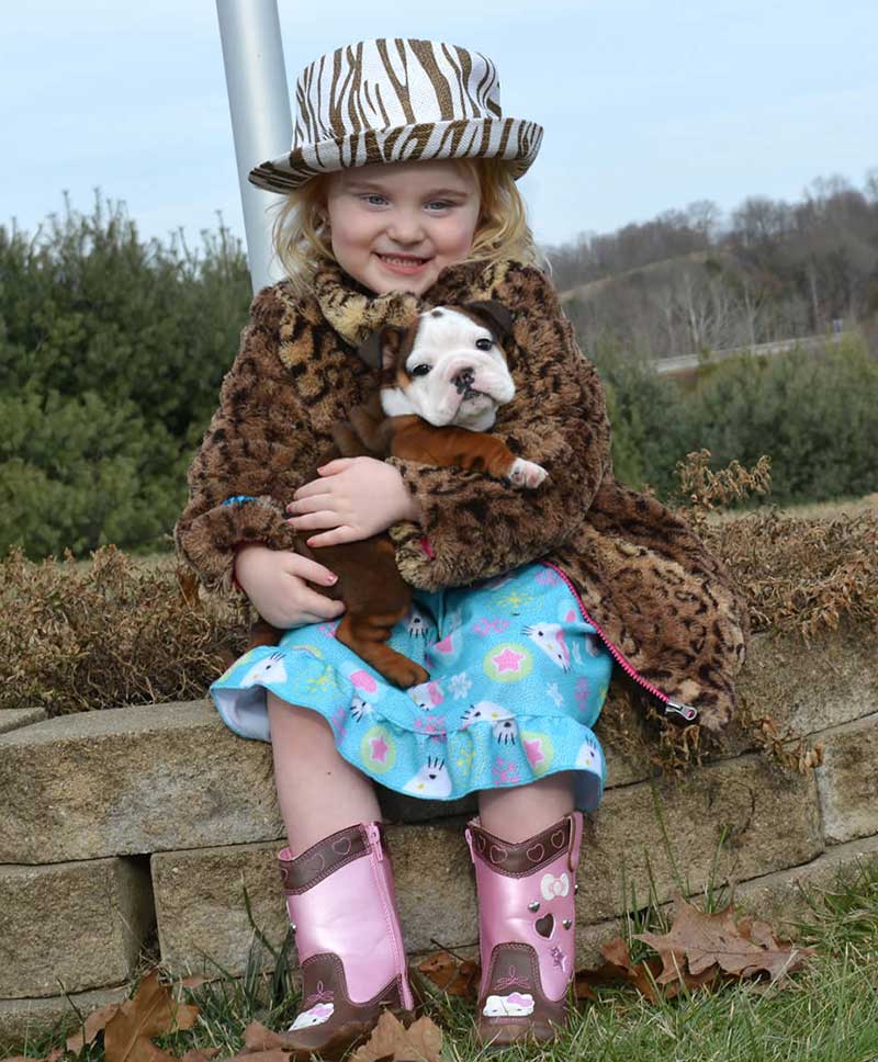 Little girl with english bulldog puppy in arms