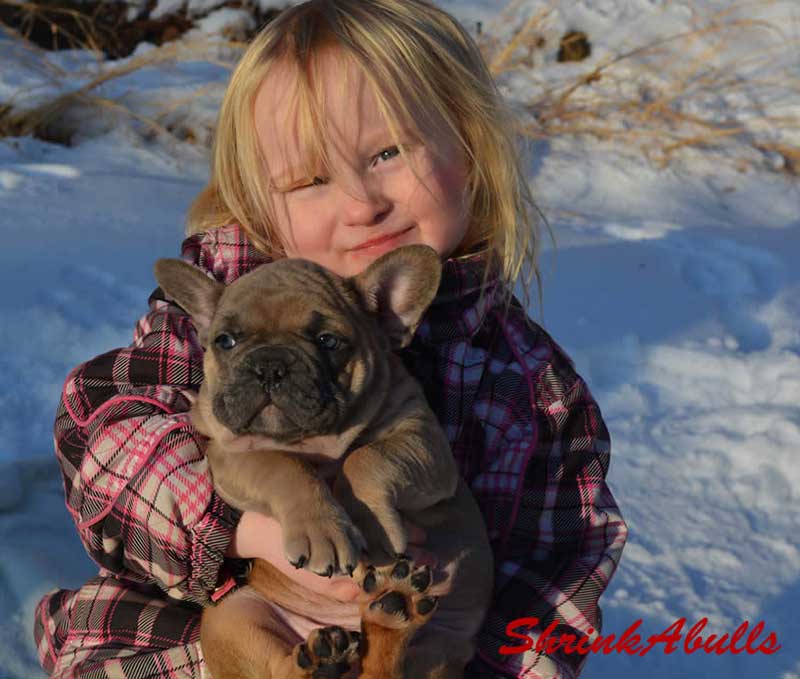 Girl with French bulldog in snow