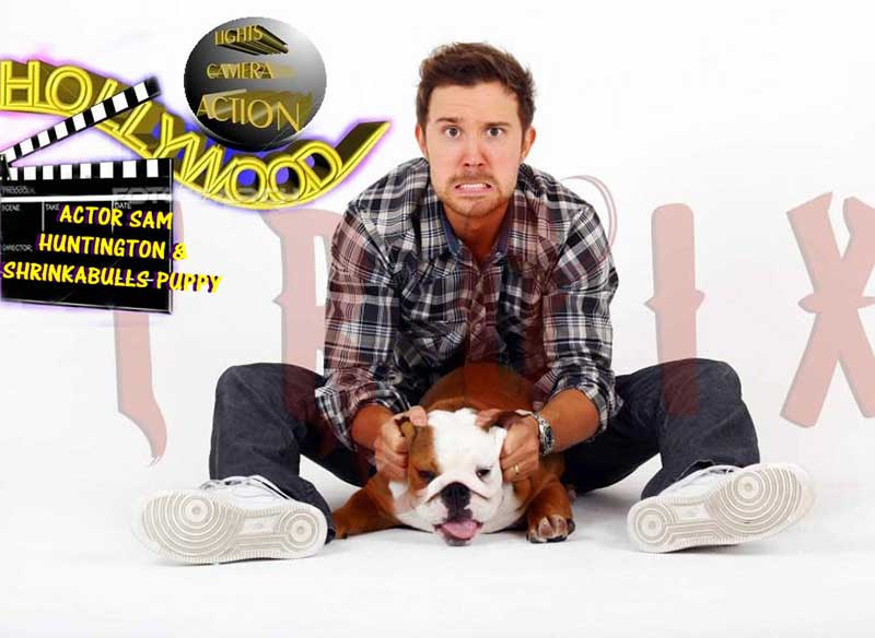 Hollywood actor Sam Huntington with Shrinkabulls english bulldog puppy