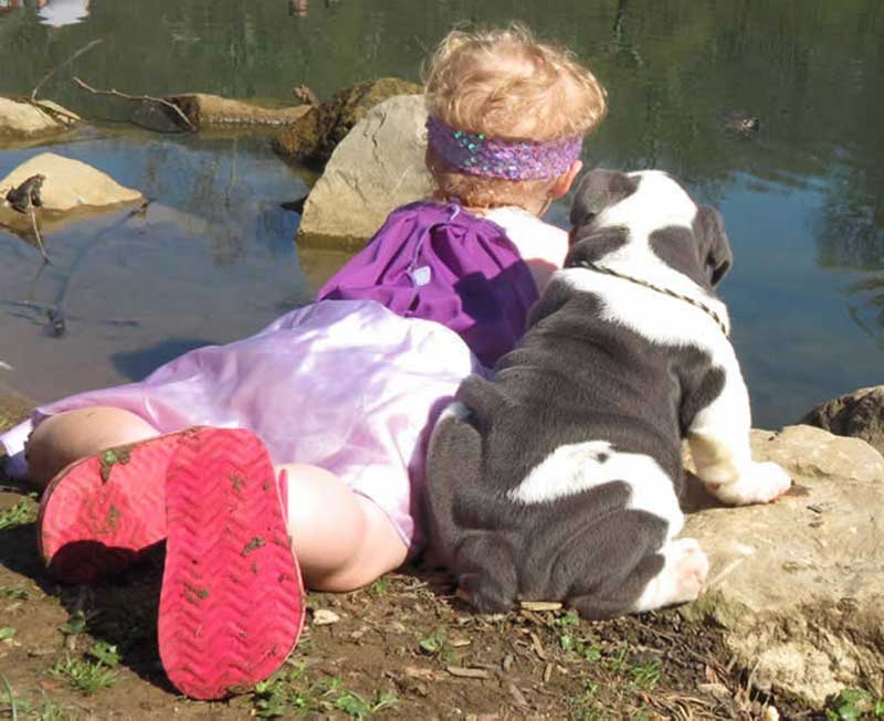 Girl with english bulldog by the lake