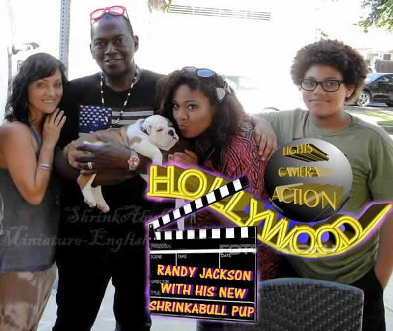 Randy Jackson and family with Shrinkabull english bulldog puppy