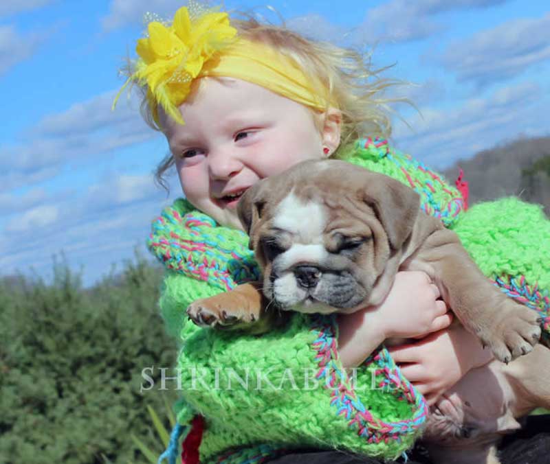 happy girl hugging bulldog