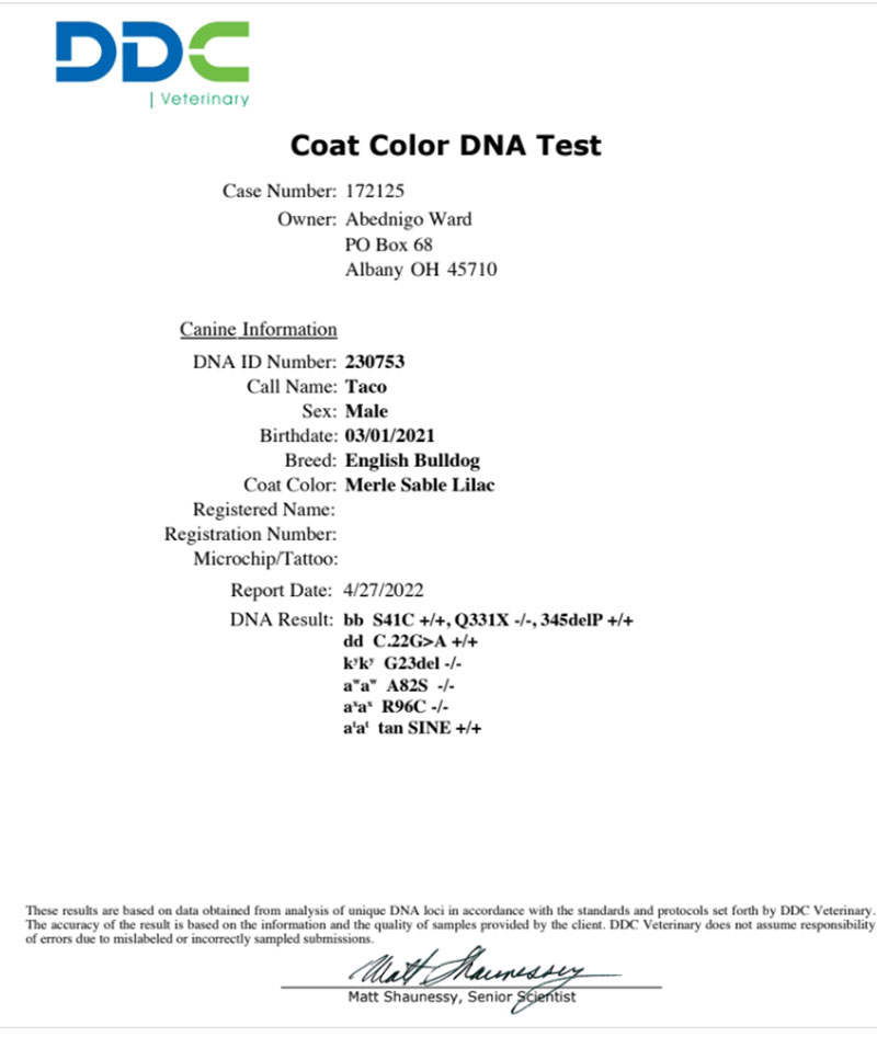 Shrinkabull's Moscato Coat Color DNA Test
