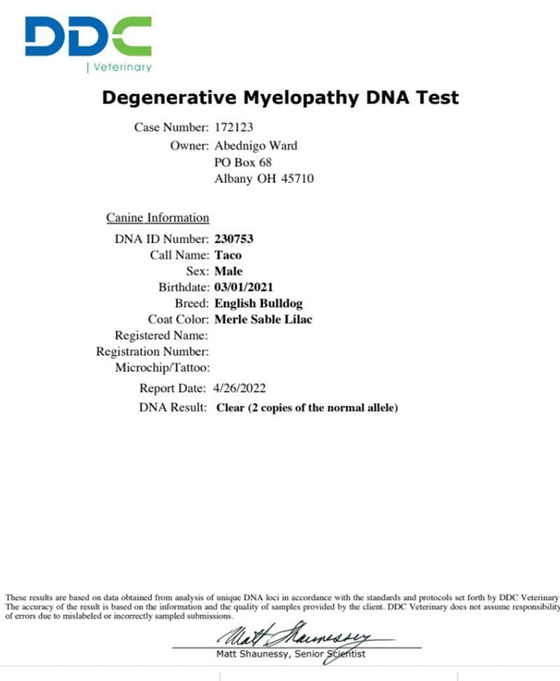 Shrinkabull's Moscato Degenerative Myelopathy DNA Test
