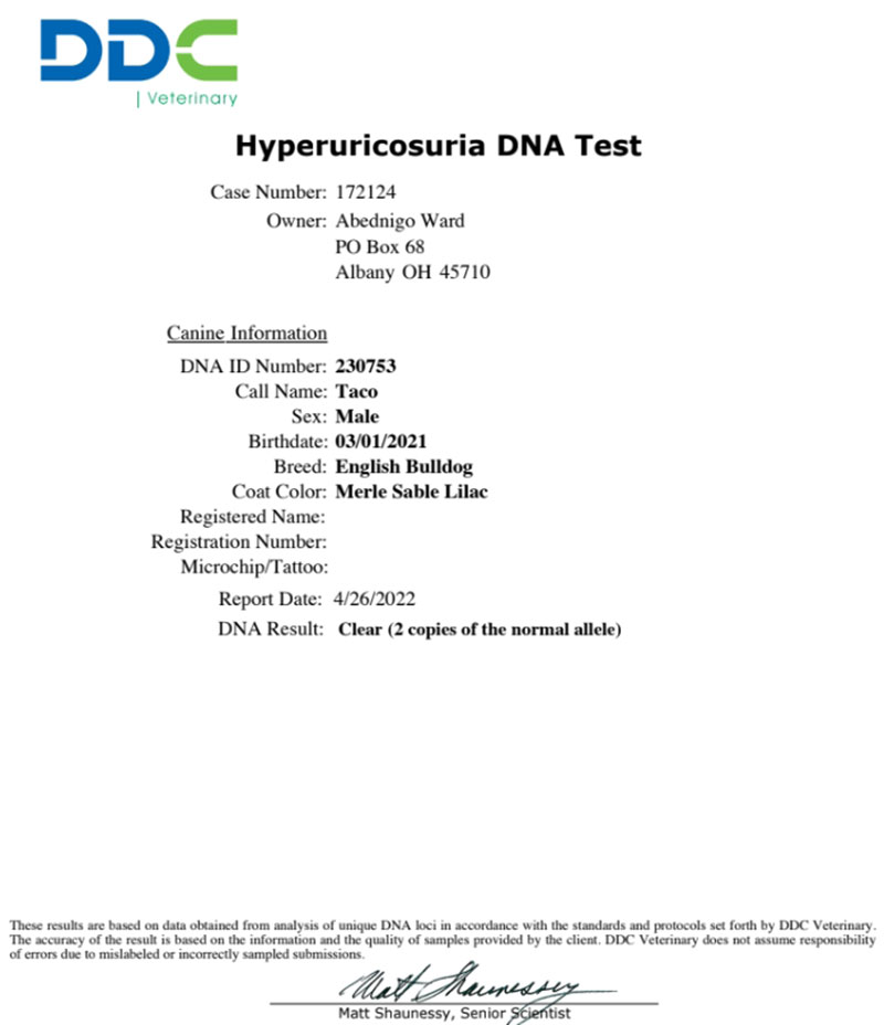 Shrinkabull's Hyperuricosuria DNA Test