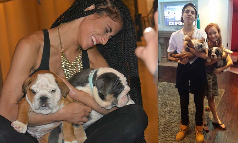 &quot;SHRINKABULLS DRAKE&quot; now owned by singer/actress WAYFA. Pictured below on set with famous dancer from music video ft. NEO & hanging out with CELEBRITY MATHEW ESPINOSA of MACON BOYS. Drake is an adorable red & white male Shrinkabulls English bulldog puppy