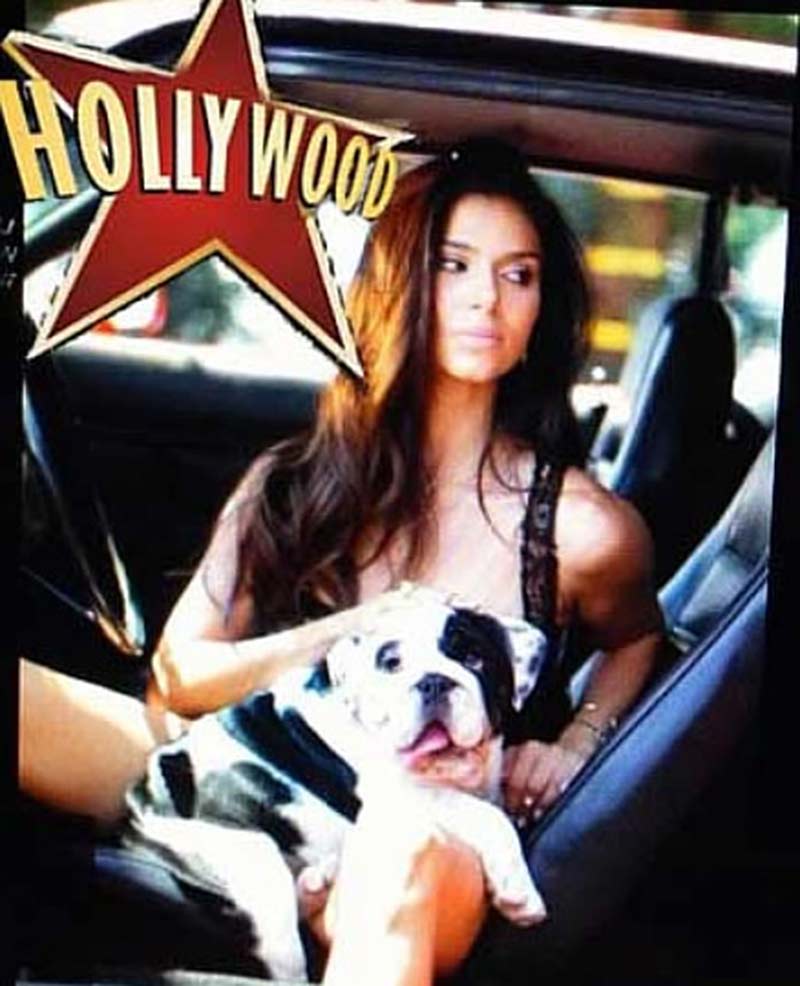 &quot;SHRINKABULLS LITTLE BOSS&quot; with actress/singer super star Bulldog Celebrity Star ROSELYN SANCHEZ & Bulldog Celebrity Star Flo Rida in music video &quot;Pick Up Your Game&quot;