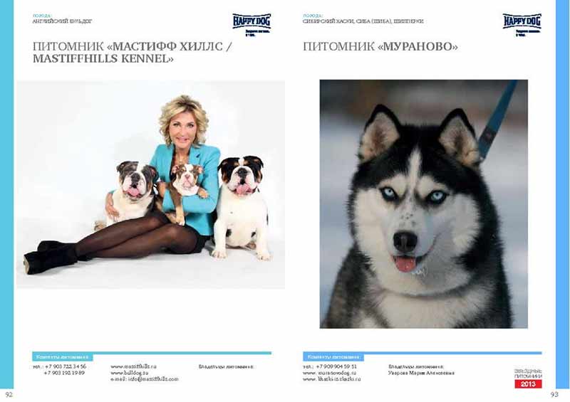  SHRINKABULLS TITUS English bulldogs now owned by model Svetlana in Russia, featured in "DOG LIFE MAGAZINE."