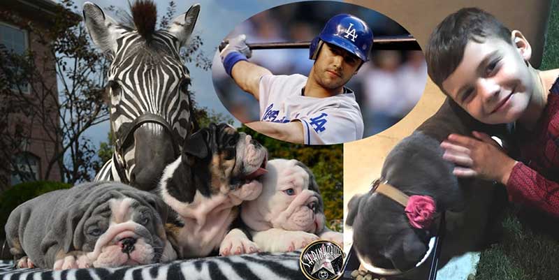 ANDRE ETHIER, player for LA DODGERS now owns "Shrinkabulls Sparrow"