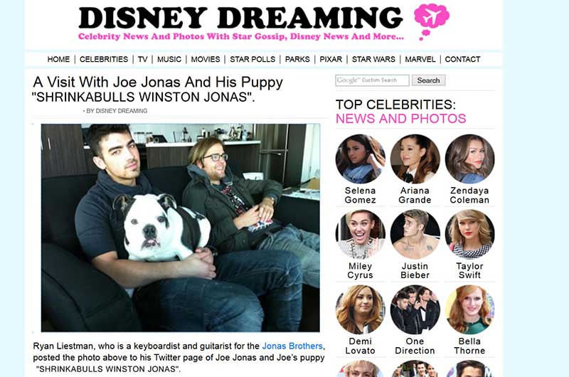 Singer Joe Jonas and his puppy "Shrinkabull's Winston Jonas"