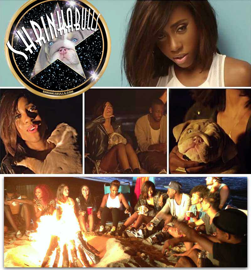 Sevyn Streeter with Chris Brown and Shrinkabulls Home Brew