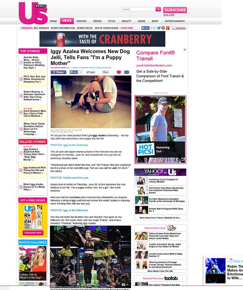 Singer Iggy Azalea and NBA player Nick Young with Shrinkabulls Jelli Shrinkabulls puppy in the largest UK news media