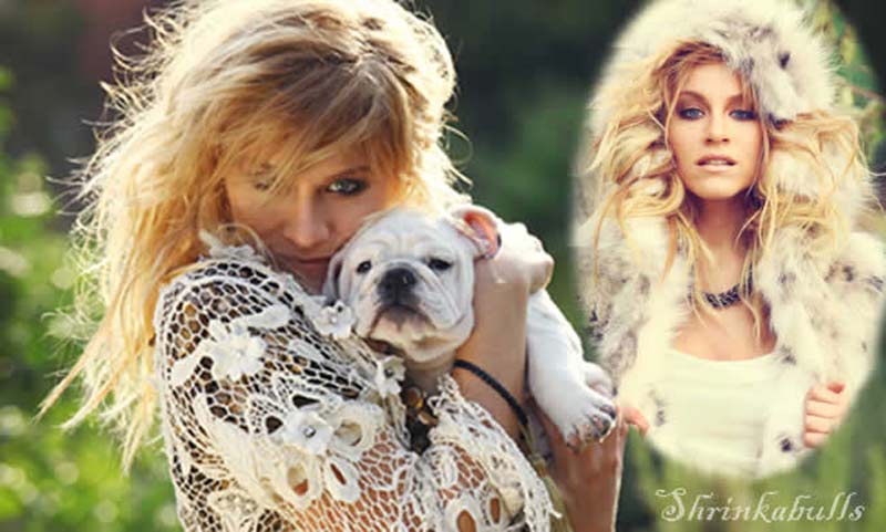 BRIT MORGAN is beautiful with Bulldog puppy Shrinkabulls Titan