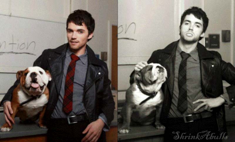 Ian Harding photos Pretty Little Liars with bulldog puppy Titan. Ian Harding pictures with english bulldog puppy. Ian Harding images