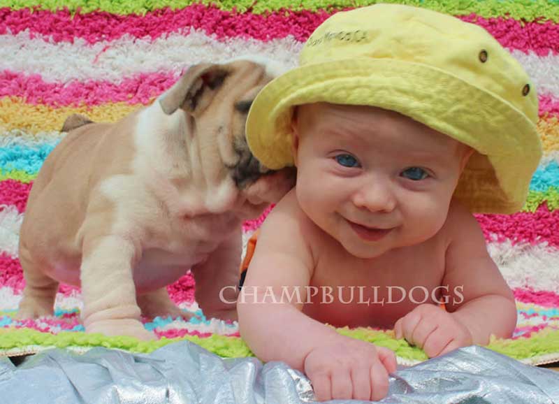 Baby in yellow hat with english bulldog puppy
